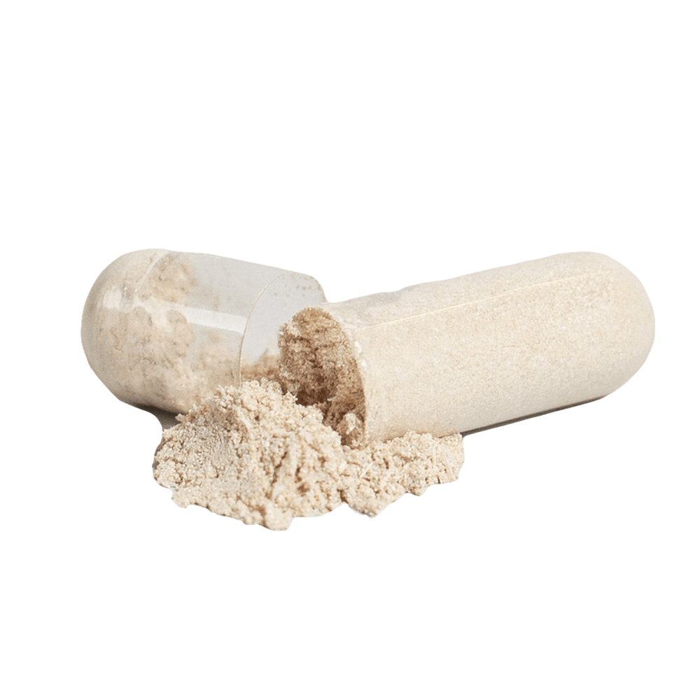 Vive+ multivitamina completa